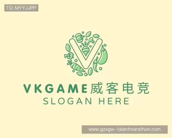 了解VKGAME威客电竞