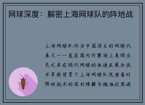 网球深度：解密上海网球队的阵地战