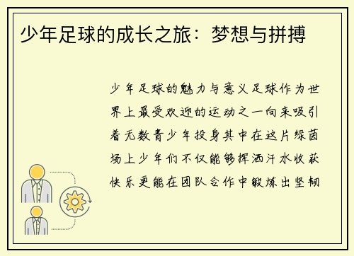少年足球的成长之旅：梦想与拼搏