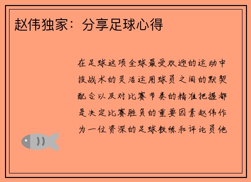 赵伟独家：分享足球心得