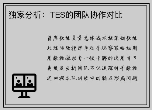 独家分析：TES的团队协作对比