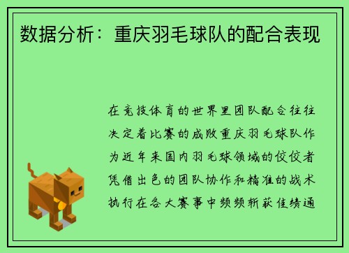 数据分析:重庆羽毛球队的配合表现